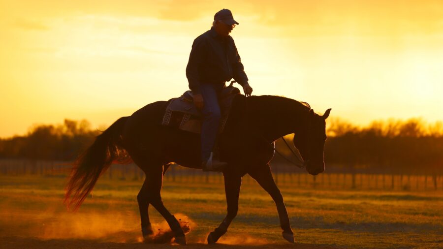 Man riding a horse at sunset. Photo by Tammy Sronce