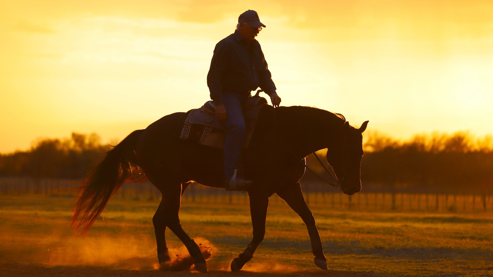 Man riding a horse at sunset. Photo by Tammy Sronce