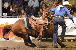 man getting off his roping horse