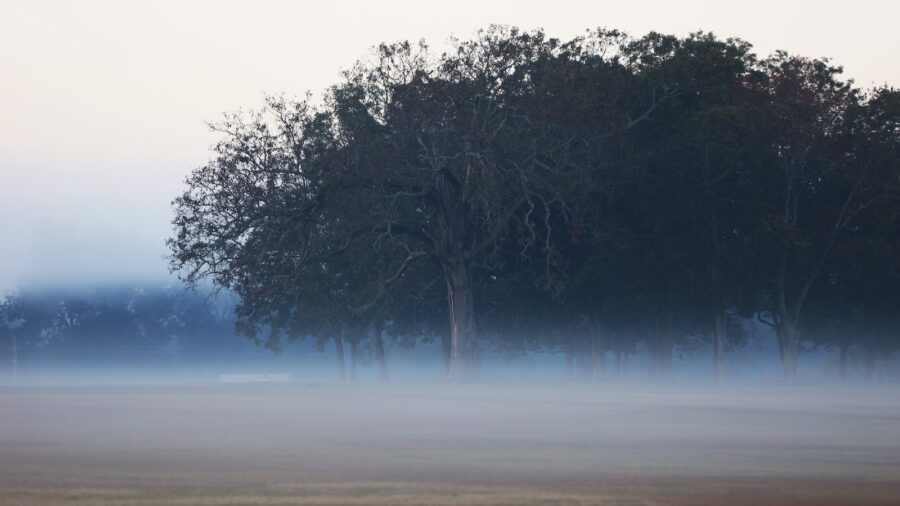 foggy landscape stock photo. Photo by Tammy Sronce