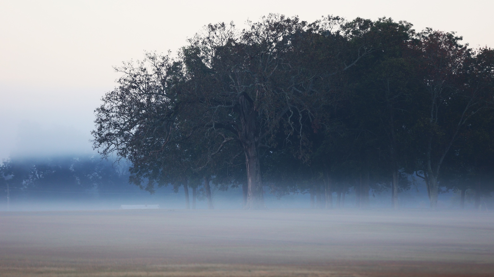 foggy landscape stock photo. Photo by Tammy Sronce