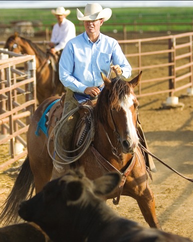Tripp Townsend competing in ranch horse versatility