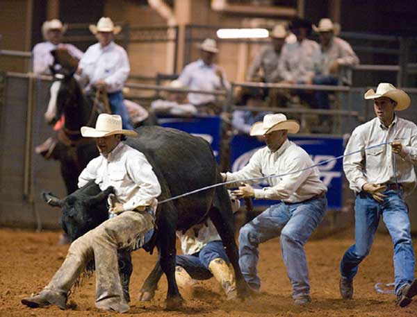 Johnson Ranches Cowboys