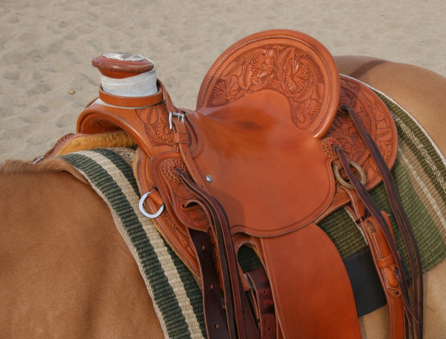 saddle fit roundtable