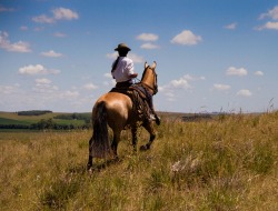 Argentina Gaucho
