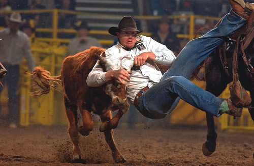 Steer Wrestler Jake Rinehart