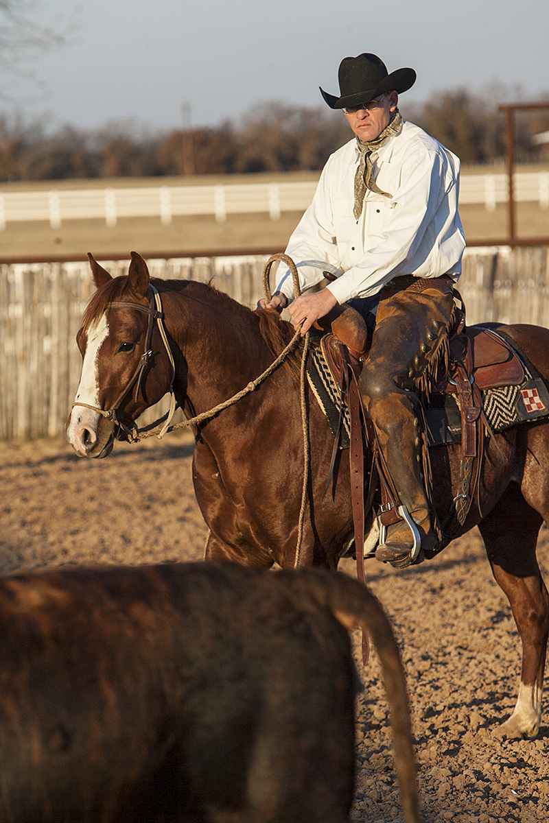 Kory Pounds and horse standing and watching cow to develop cow sense