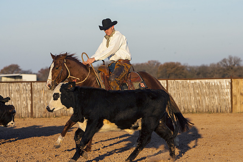 Kory Pounds and horse chasing faster calf as horse develops cow sense
