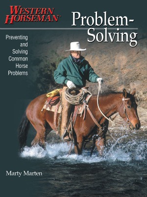 Problem Solving