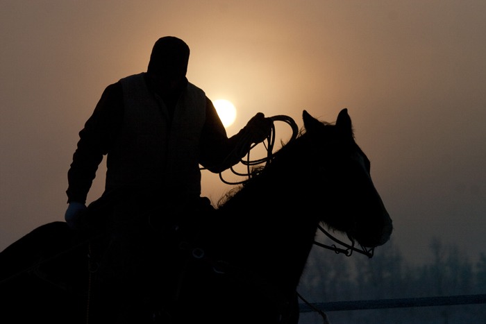 Comrade Cowboy
