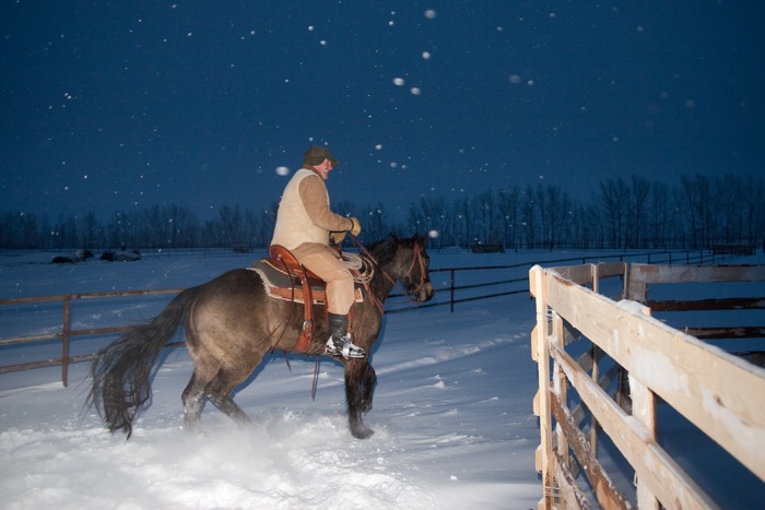 Sweeney heads into the frigid night air to find more newborn calves. In part 2, the crew works frantically to save an onslaught of calves born during an intense snowstorm.