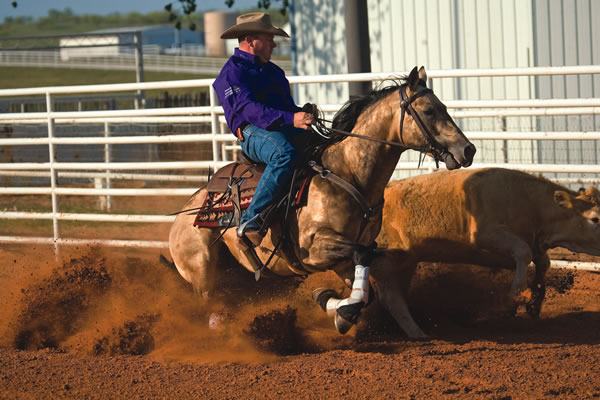 Most maneuvers are completed at the ends of the arena—cutting, boxing the cow and turning the cow on the fence. Jay McLaughlin