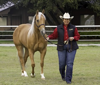 Shiney Sushi & Carol Rose