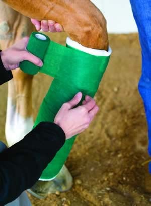 Splint Up