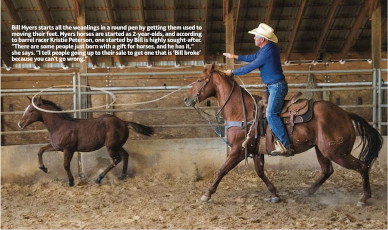 Bill Myers catches a colt in a round pen.