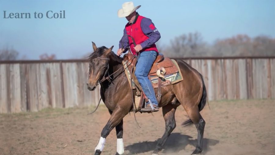 Russell Dilday cow horse