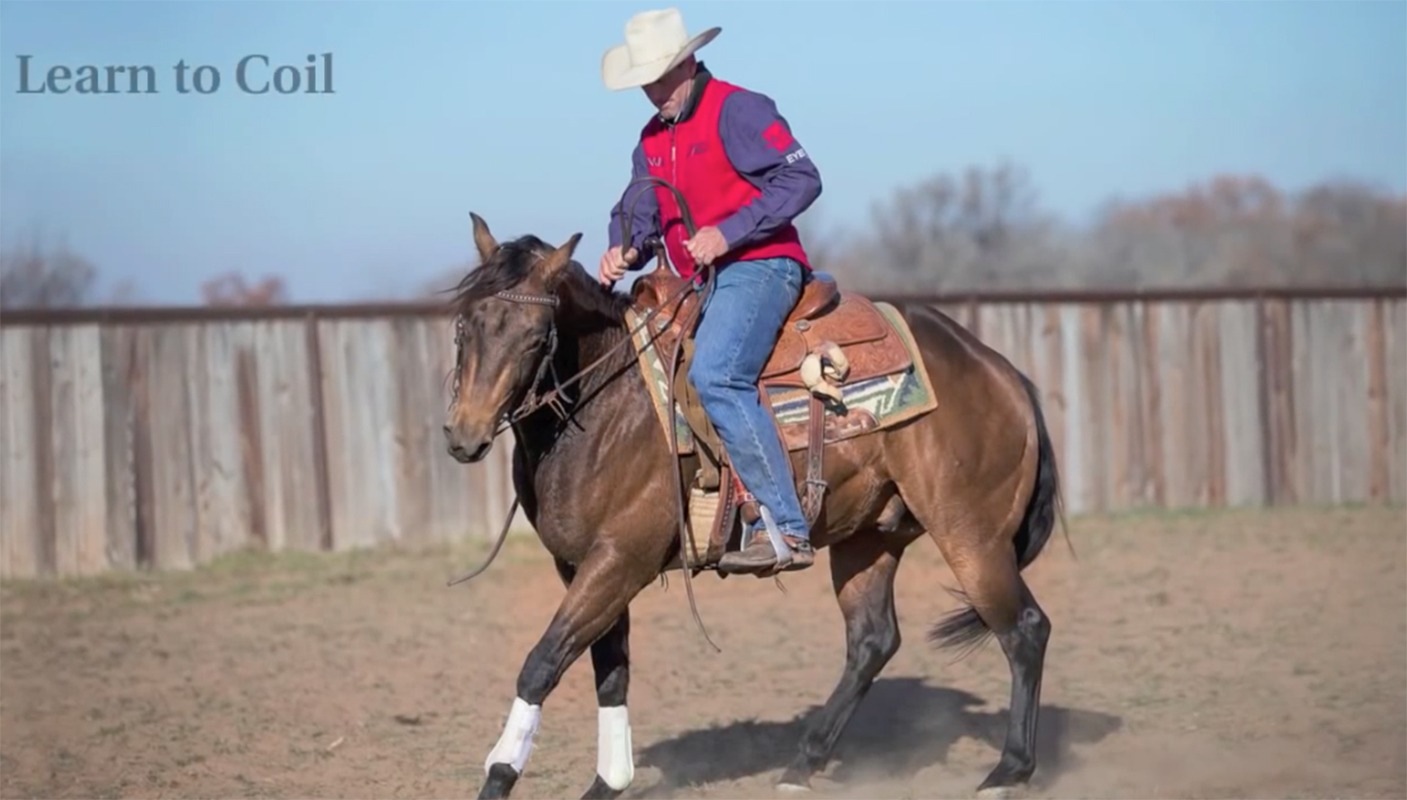 Russell Dilday cow horse