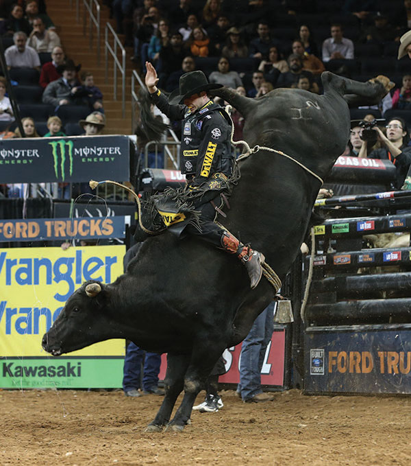 The success of PBR has led it to venues across the country. Madison Square Garden was the setting for the New York City Built Ford Tough Series event in January, when Douglas Duncan attempted to ride Robinson’s Delco during the championship round. Photo by ANDY WATSON/BULLSTOCKMEDIA