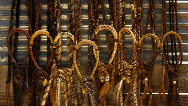 The Art of Hackamore Training