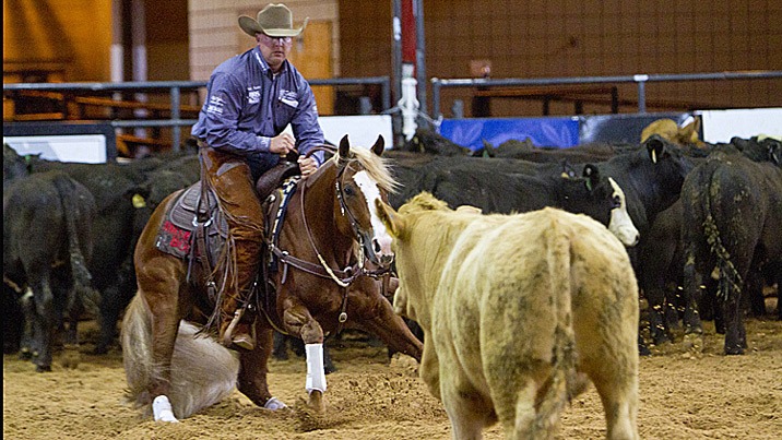 Quarter Horse Showdown