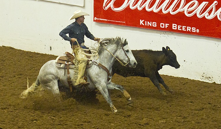 Tripp Townsend and TRR Lucky Playgun won the junior division of the Ranch Horse Association of American National Finals.