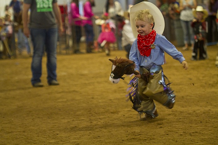 Stick Horse Bronc