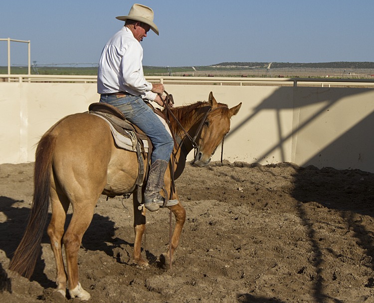  Buster McLaury advises riders to consider the horse's perspective.