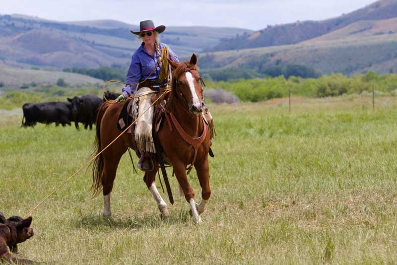 Caitlyn Taussig runs her family ranch in Kremmling, Colorado, with her mother and sister. She released her first CD in 2014, entitled The Things We Gave Up.