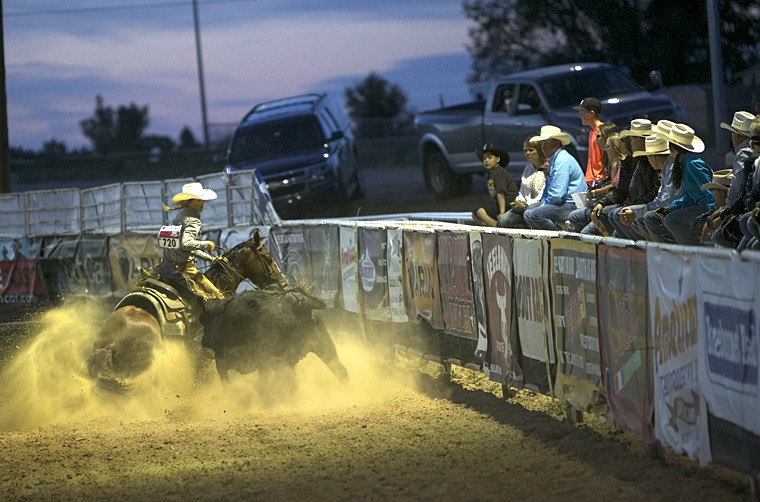 reined cow horse