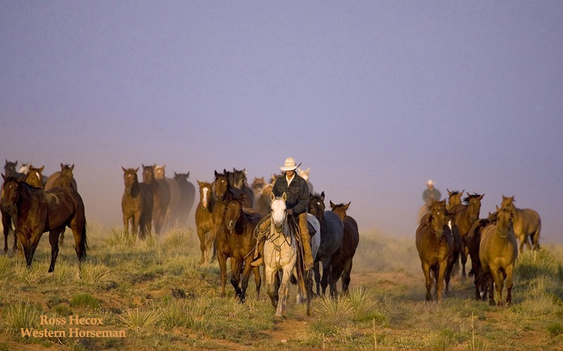 120603 bellranch 398a