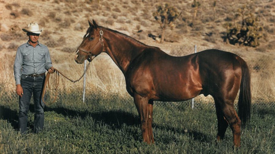 The narrative of Sid Vail and his famous horse, Three Bars, reads like a story book. The Thoroughbred stallion has left his mark.