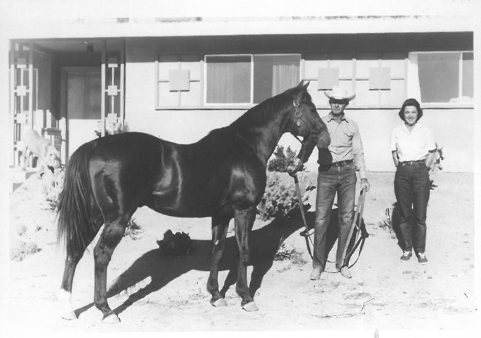 The narrative of Sid Vail and his famous horse, Three Bars, reads like a story book. The Thoroughbred stallion has left his mark.