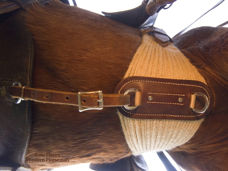 130408 cinch 9329