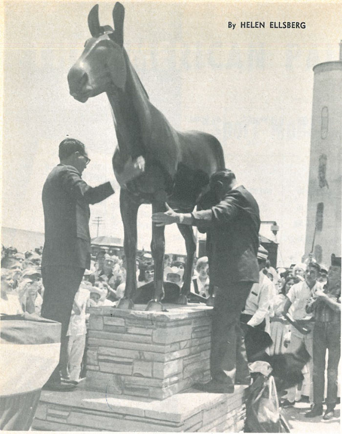 Mule 101965 web