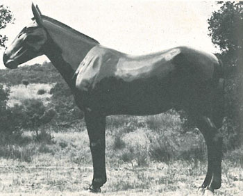 Old Pete is a statue created for Muleshoe, Texas.