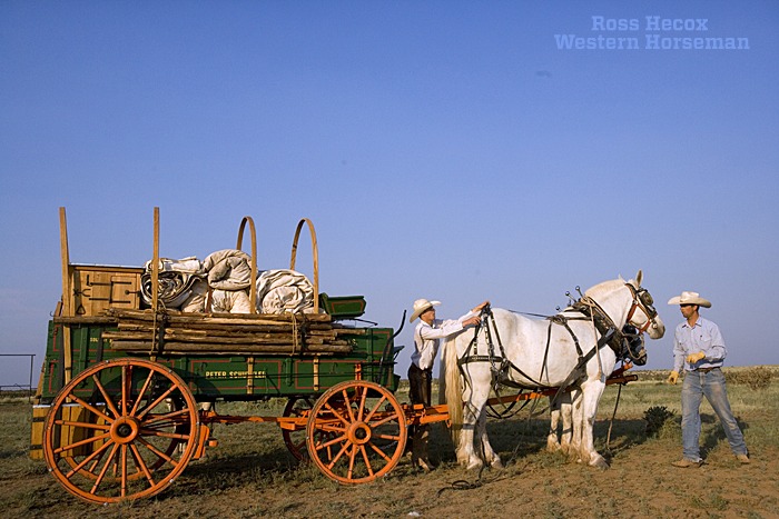 I will always consider it a privilege to have spent time on the Bell Ranch in 2012. The historic New Mexico outfit now owned by Silver Spur Ranches is one of the remaining ranches that pulls out a chuck wagon for spring works each year. Here, Brady Clark (left) and Rem Mosimann hitch up the team before moving to a new camp.