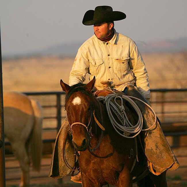 Today, Stout works on the Muleshoe Ranch.