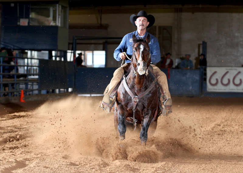 Mike Major Smart Whiskey Doc SHOT15