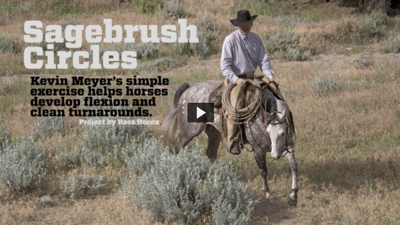 Kevin Meyer turning around sagebrush