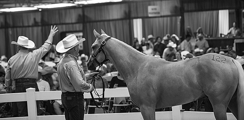 It's easy to focus on a sale horse's current state but forget to consider its potential.