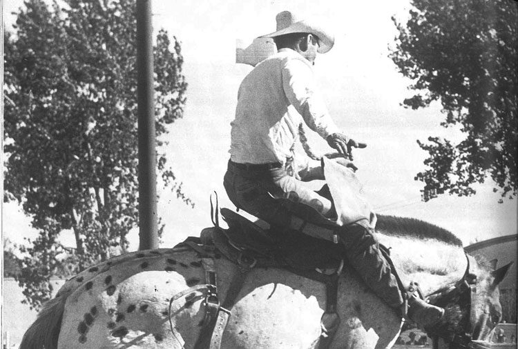 BillLinderman Devere bronc web