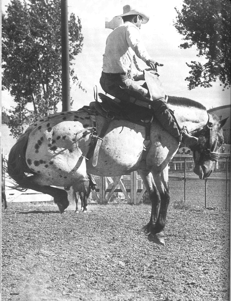 BillLinderman Devere bronc web