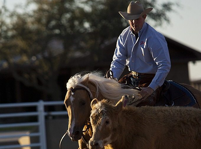 Chris Dawson works a cow for a Western Horseman photo shoot in 2007. This was shot at Carol Rose Quarter Horses in Gainseville, Texas. Since then, Dawson has become one of the top reined cow horse trainers in the business.