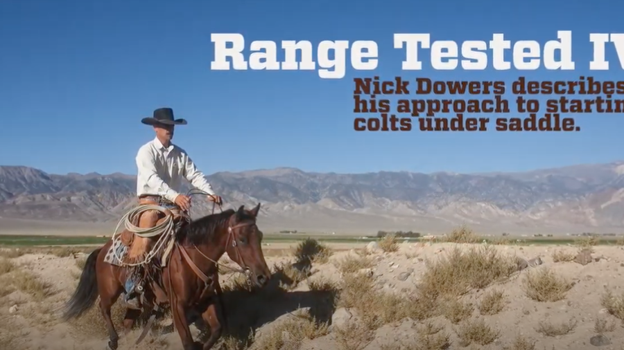 range tested nick dowers