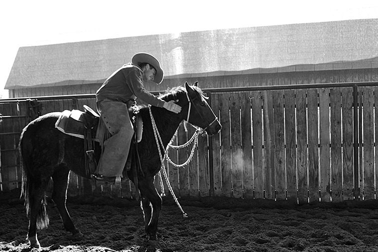 Luke Neubert works with a 2-year-old colt.