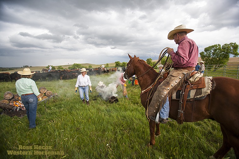 John Welch and his ranch gelding hold onto a soggy steer while the branding crew does its job. I happened to be in Montana at the time, and Welch invited me to photograph him and his family working calves. I shot this shortly before a heavy downpour. We waited for the rain to stop, then resumed the work. The cattle had spread out in the branding pen during the shower, which made the ground a muddy, mucky mess. Rain-soaked cow pies were spread out everywhere like land mines. Somehow, I ended up flanking calves, which was a lot of fun until the job landed me in a fresh, soggy pile. I had a flight to catch early the next morning, with no time do laundry. I've often wondered what airport security thought of the mysterious, funky smelling trash bag I crammed into my suitcase.