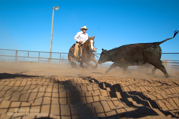 It had been a frustrating day. Photographing the Crumpler family of Wichita Falls, Texas, it was overcast, dark and gloomy. I was struggling to get good photos for the article, which appeared in the May 2005 issue of Performance Horse. Then the clouds finally broke, Don Crumpler saddled up cutting horse superstar Woody Be Tuff, and I lay down in the dirt and started firing away. They were working in a small round pen, so I used my wide angle lens, which allowed me to include the fence shadows, power line and calf's tail. It wasn't my idea, but all those elements seem to point the eye to the cutting horse. Woody Be Tuff has since sired the earners of more than $1 million.