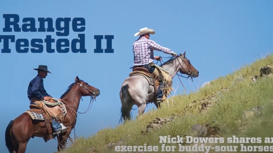 range tested nick dowers