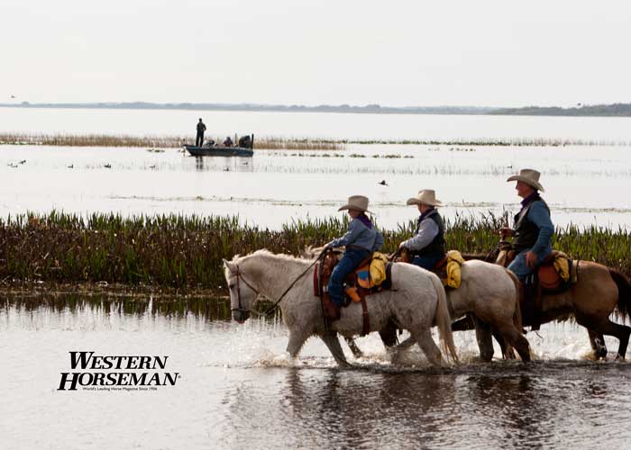 ch FL Cattle Drive 16 IMG 8106