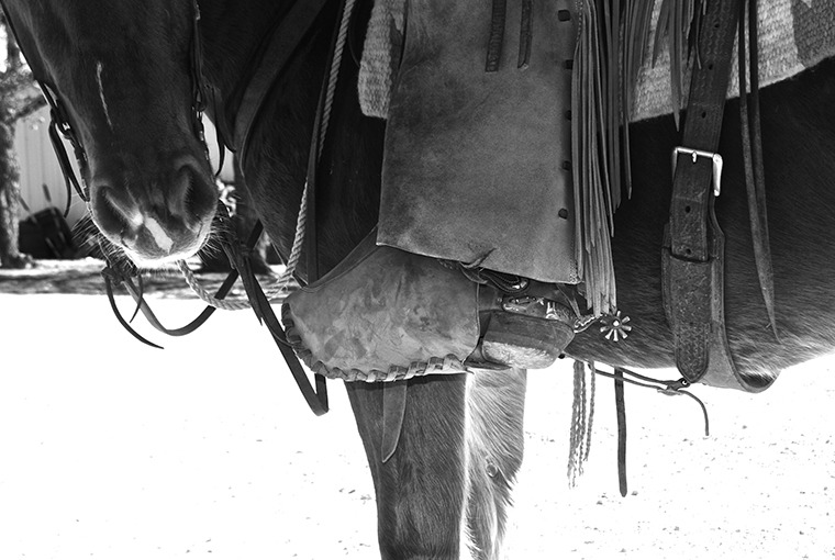 Tapaderos protect a rider's feet from brush and cold temperatures.